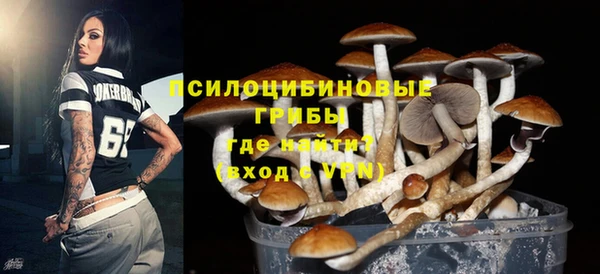 СК Нягань