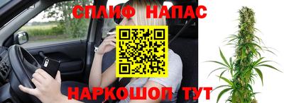 дмт Гусев