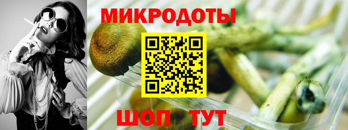 Галлюциногенные грибы Psilocybe  дарнет шоп  Петровск  Вход с VPN 